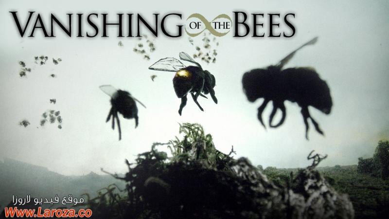 فيلم Vanishing of the Bees 2009 مترجم HD اون لاين