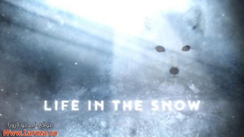 فيلم Life in the Snow 2016 مترجم HD اون لاين