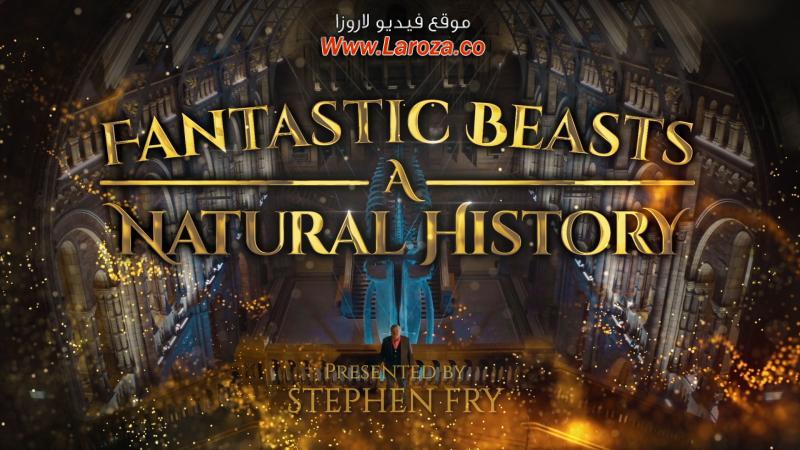 فيلم Fantastic Beasts: A Natural History 2022 مترجم HD اون لاين