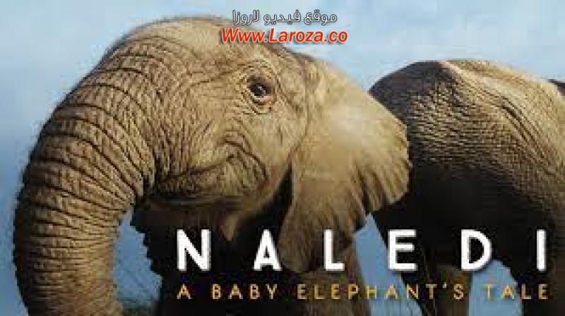 فيلم Naledi A Baby Elephant’s Tale 2016 مترجم HD اون لاين